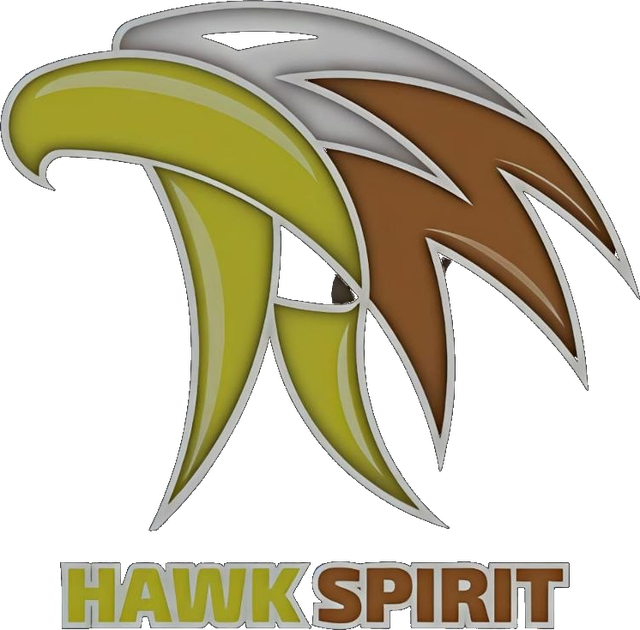 Hawk Spirit Logo