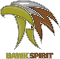 Hawk Spirit