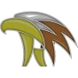 Hawk Spirit
